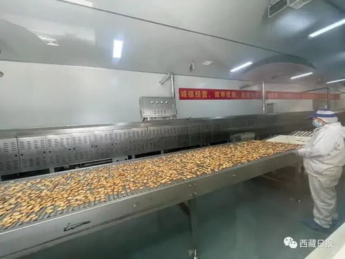 吴英杰在洛隆 边坝调研