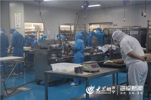 透明工厂 零距离 济宁食品生产企业迎来特殊 考察团