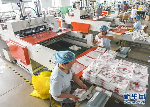 河北故城 打造环保食品包装产业基地