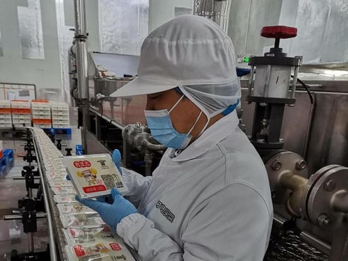一块豆腐的上海漂流记
